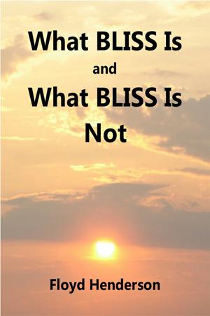 What BLISS Is and What BLISS Is Not