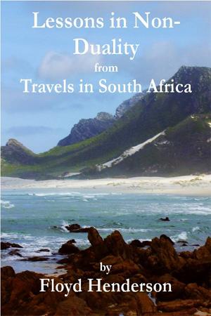 Lessons in Non-Duality from Travels in South Africa